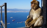 Day trip to Gibraltar with departure from Tavira